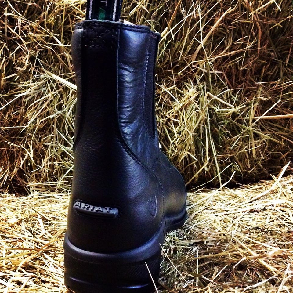 Steel toe paddock boots sale