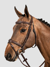 Load image into Gallery viewer, Equiline Gondola Bridle Cob